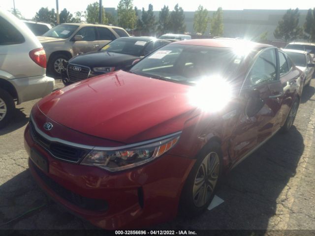 Photo 1 VIN: KNAGU4LE5J5020408 - KIA OPTIMA HYBRID 