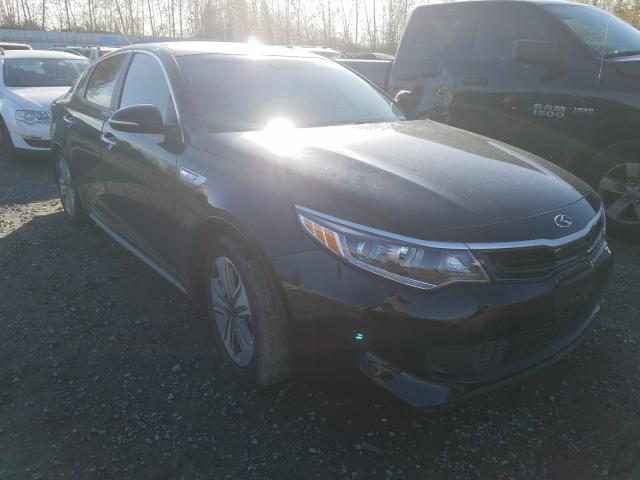 Photo 0 VIN: KNAGV4LD4H5009155 - KIA OPTIMA 