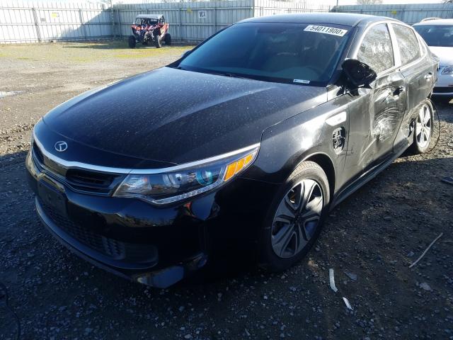 Photo 1 VIN: KNAGV4LD4H5009155 - KIA OPTIMA 