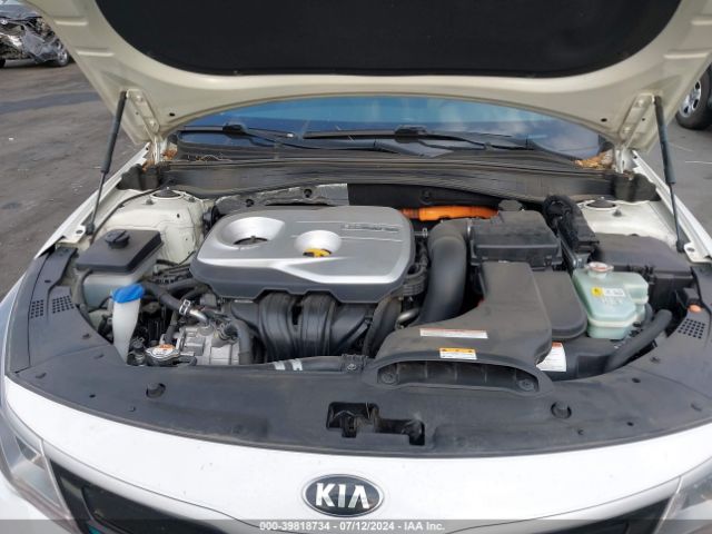 Photo 9 VIN: KNAGV4LD5H5011027 - KIA OPTIMA 