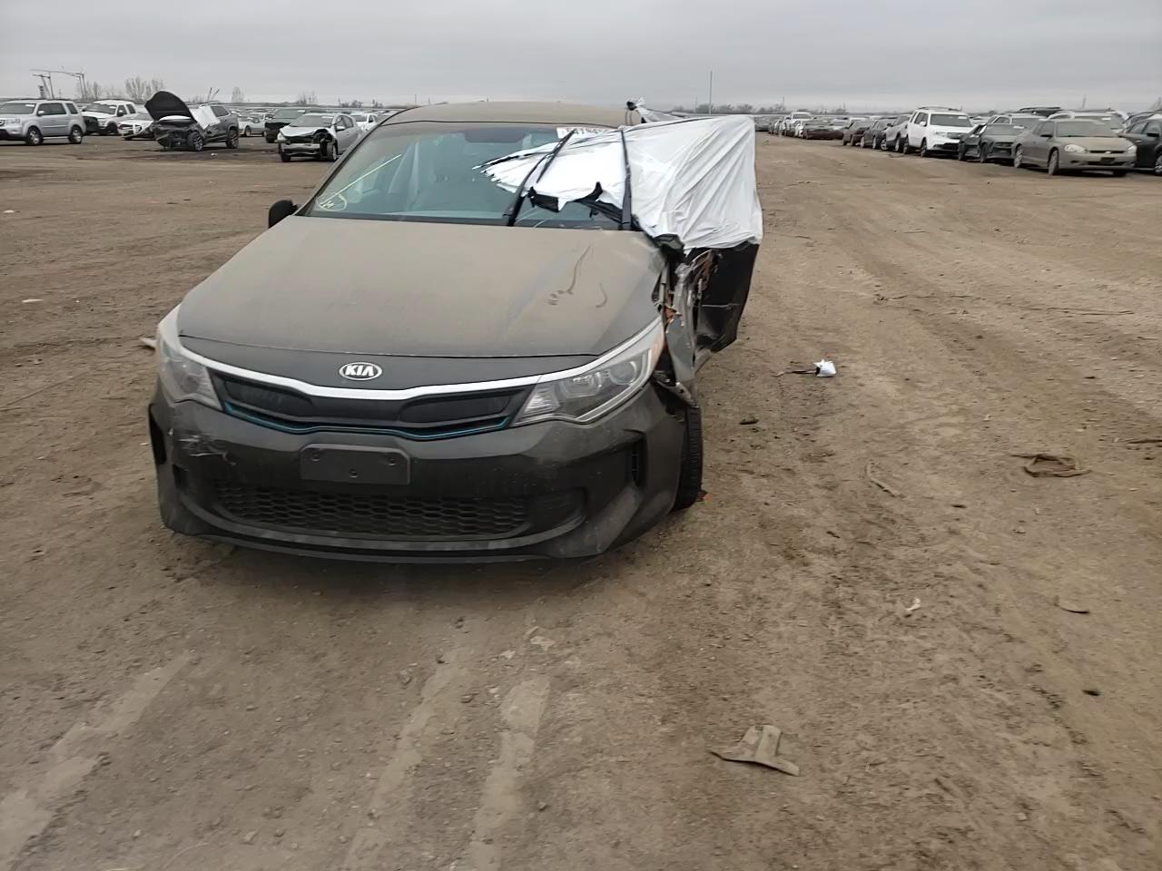 Photo 10 VIN: KNAGV4LD8H5010986 - KIA OPTIMA PLU 