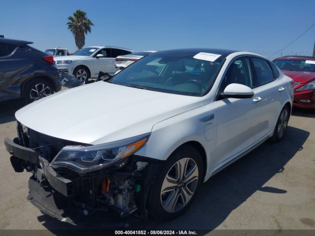 Photo 1 VIN: KNAGV4LDXH5013338 - KIA OPTIMA 