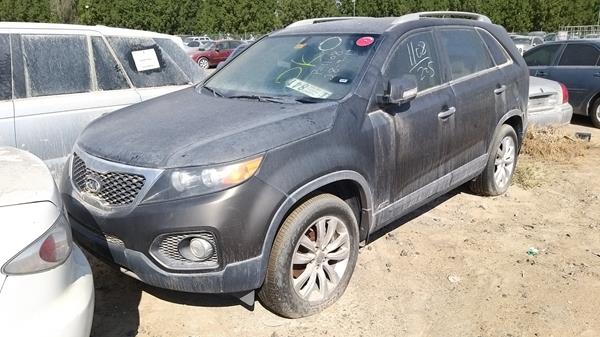 Photo 3 VIN: KNAKU8133B5097136 - KIA SORENTO 