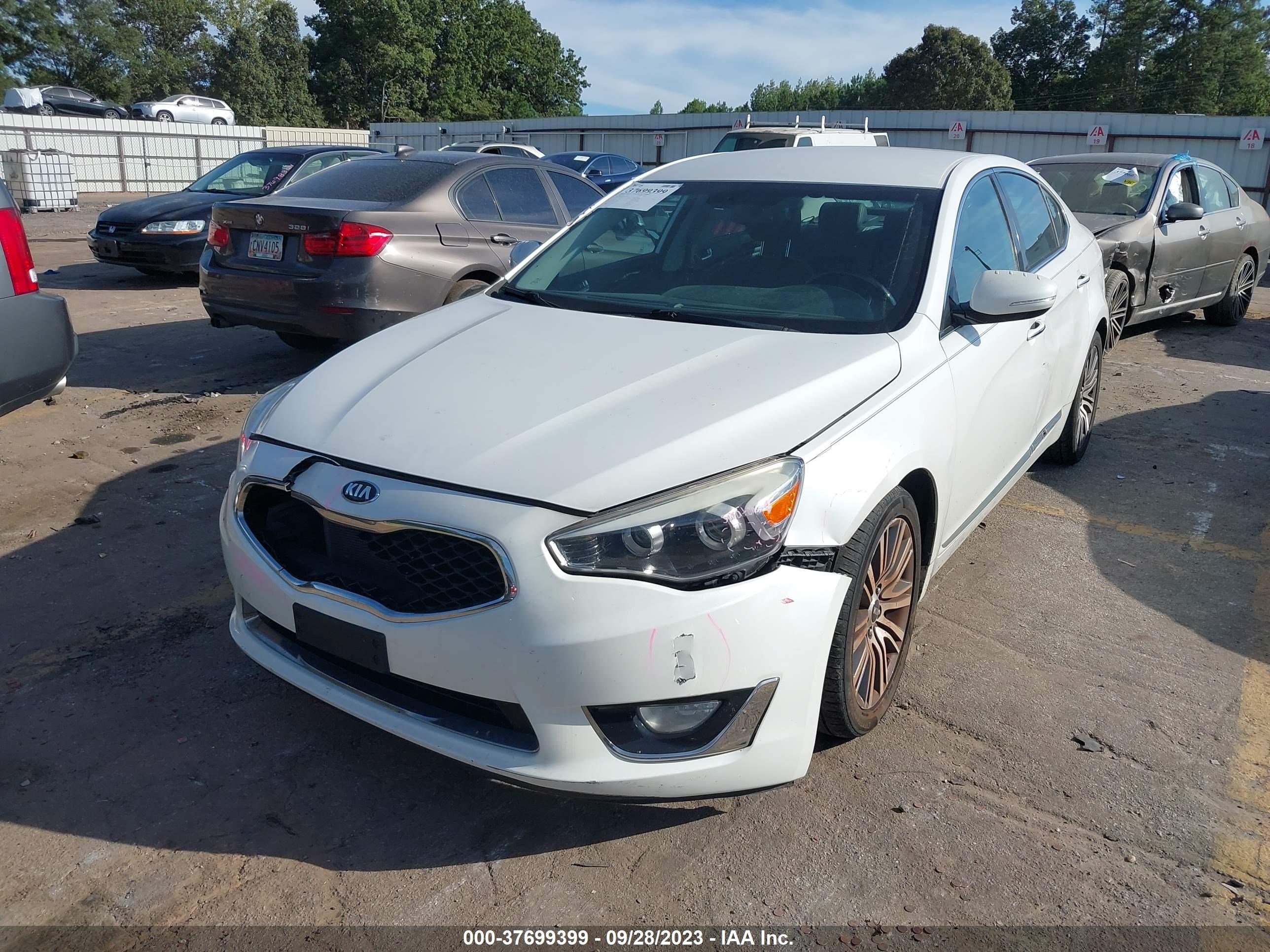 Photo 1 VIN: KNALN4D71F5190767 - KIA CADENZA 