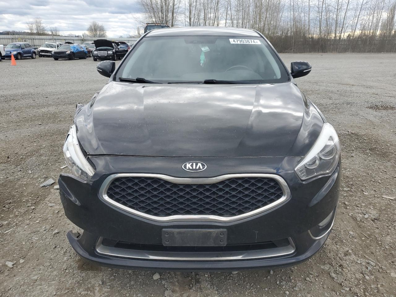 Photo 4 VIN: KNALN4D73F5195131 - KIA CADENZA 