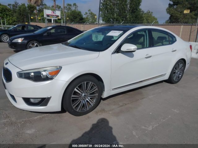 Photo 1 VIN: KNALN4D75E5126391 - KIA CADENZA 