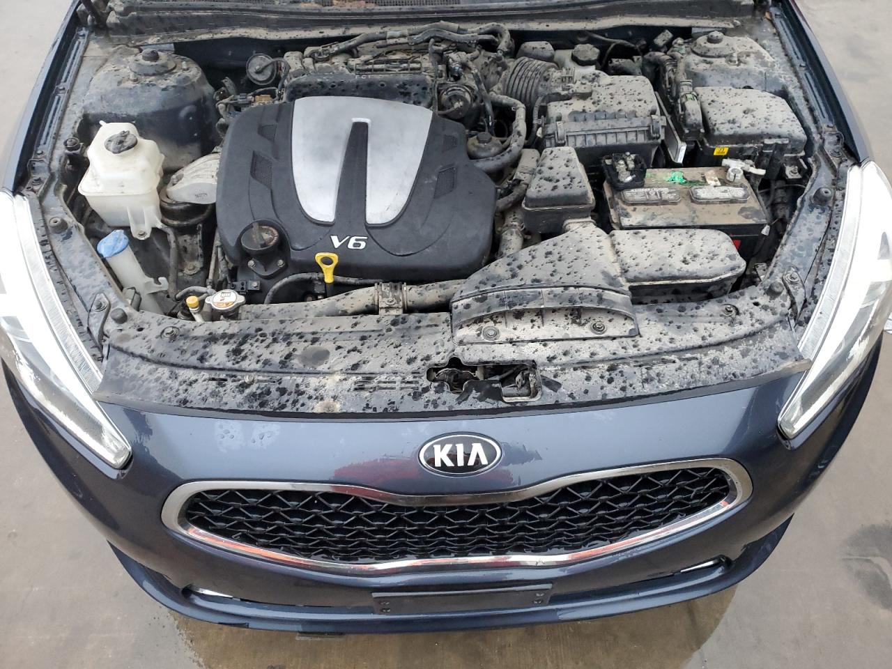 Photo 10 VIN: KNALN4D75E5140159 - KIA CADENZA 