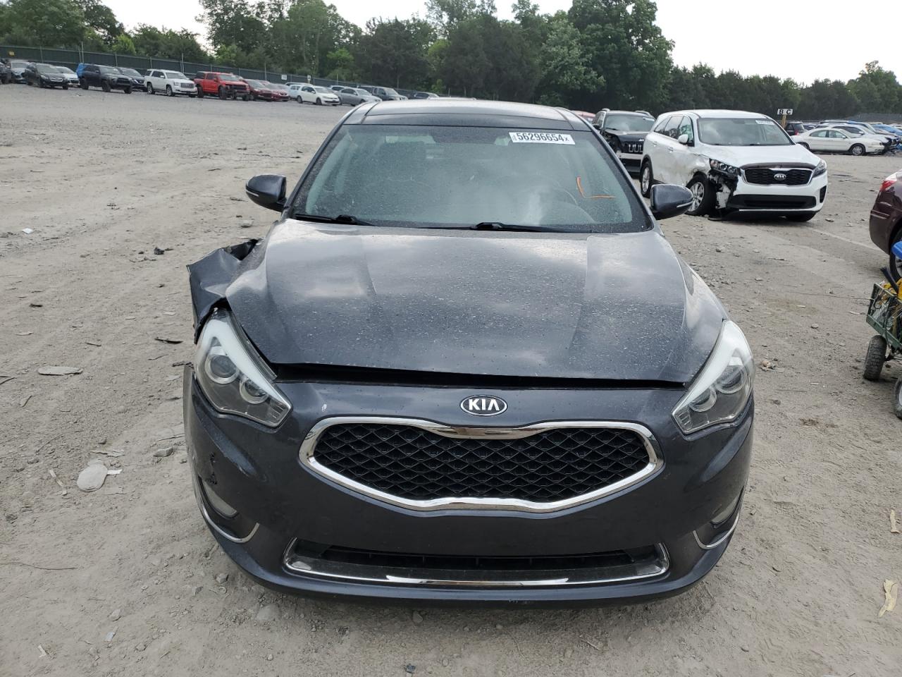 Photo 4 VIN: KNALN4D75E5149492 - KIA CADENZA 