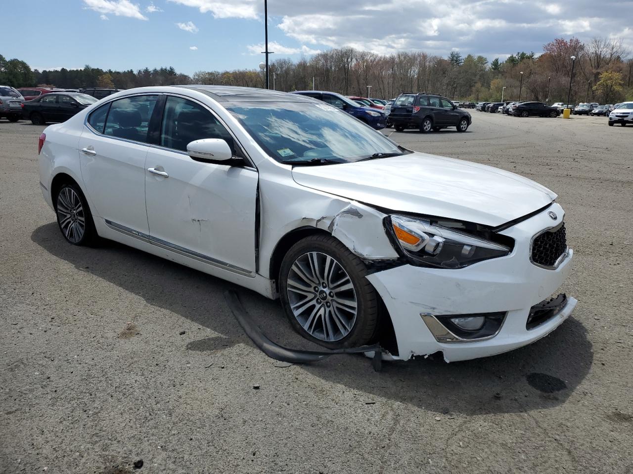 Photo 3 VIN: KNALN4D79G5216291 - KIA CADENZA 