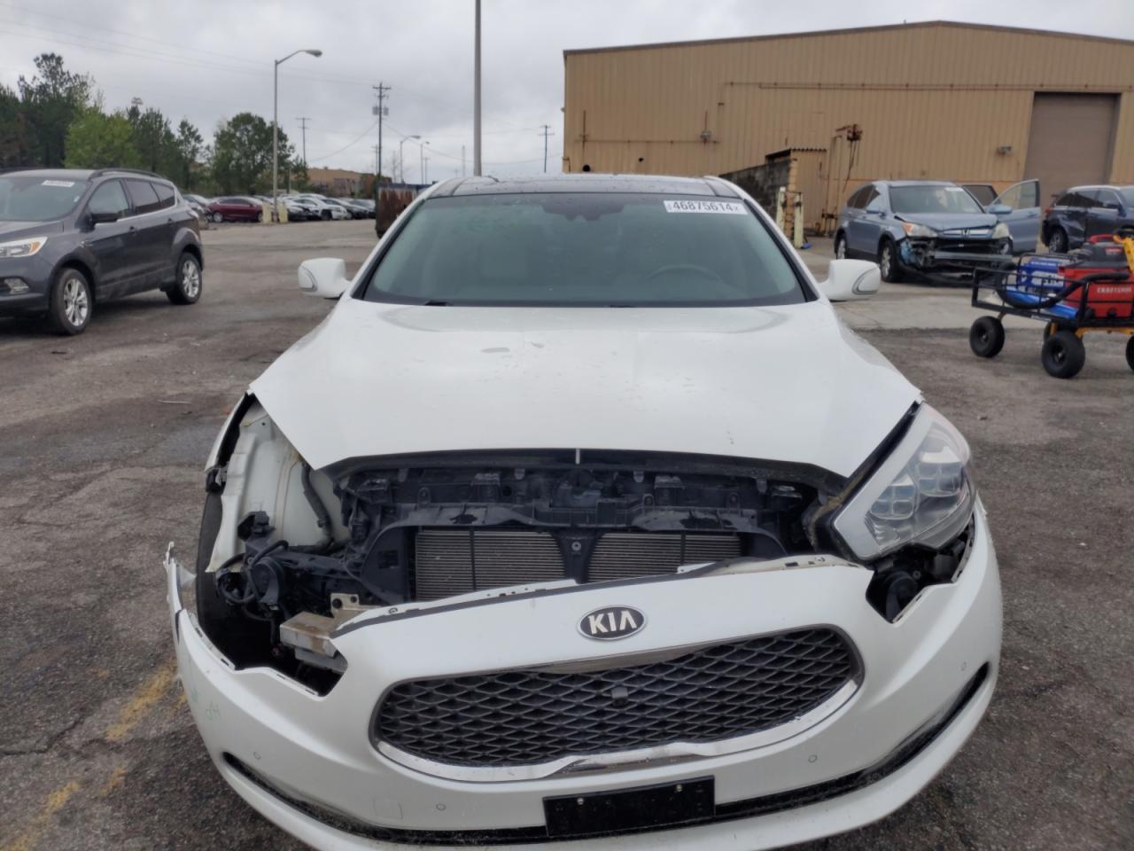 Photo 4 VIN: KNALW4D4XF6021649 - KIA K900 