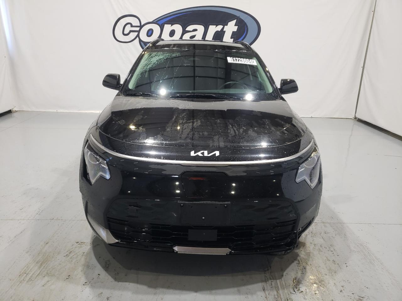 Photo 19 VIN: KNDCR3L12P5021874 - KIA NIRO WIND 