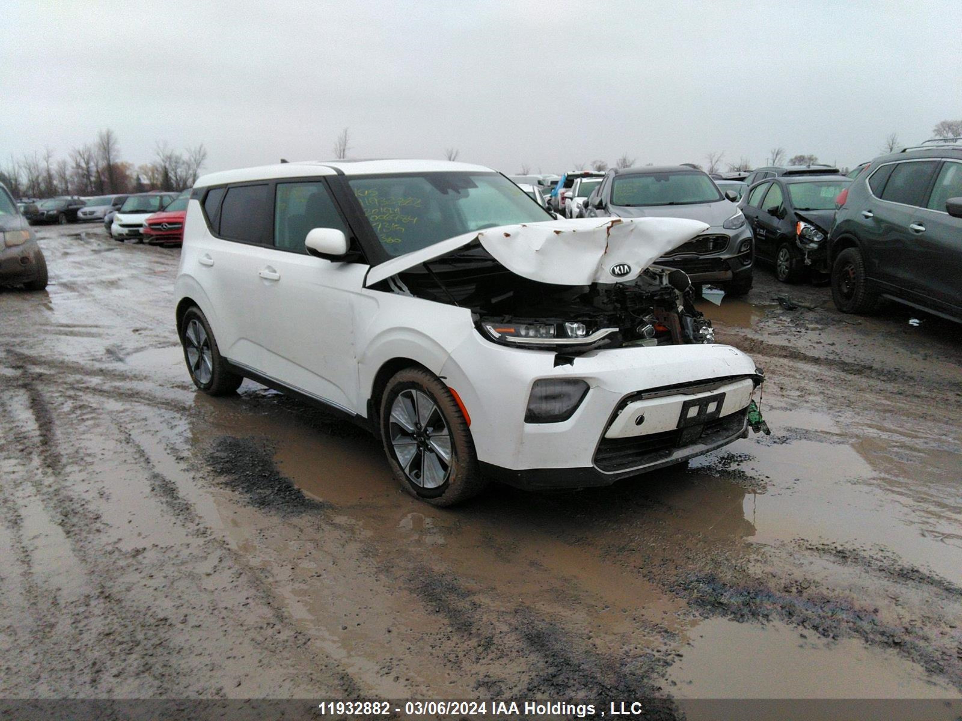 Photo 0 VIN: KNDJ33A10L7006784 - KIA SOUL EV 