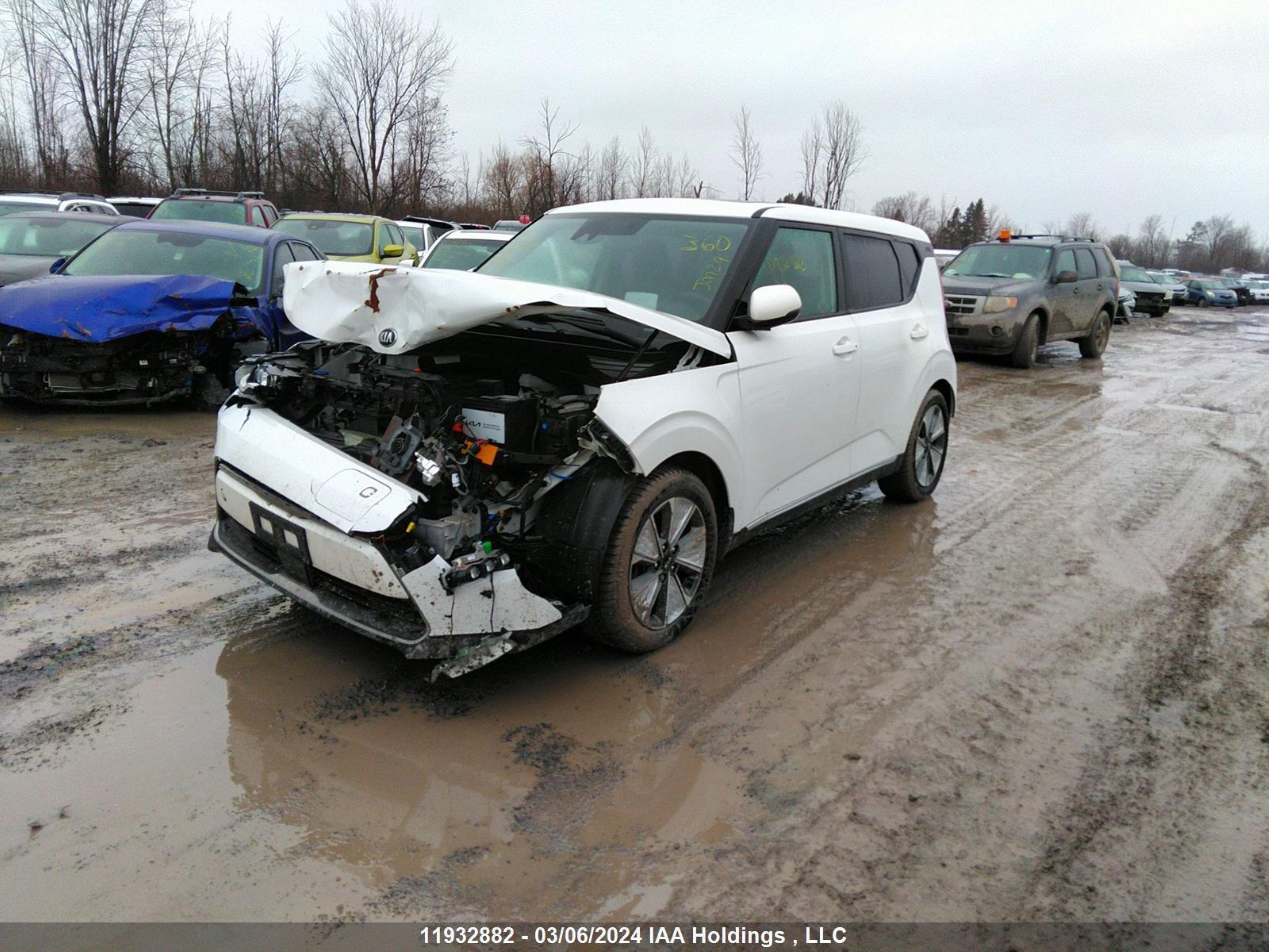 Photo 1 VIN: KNDJ33A10L7006784 - KIA SOUL EV 