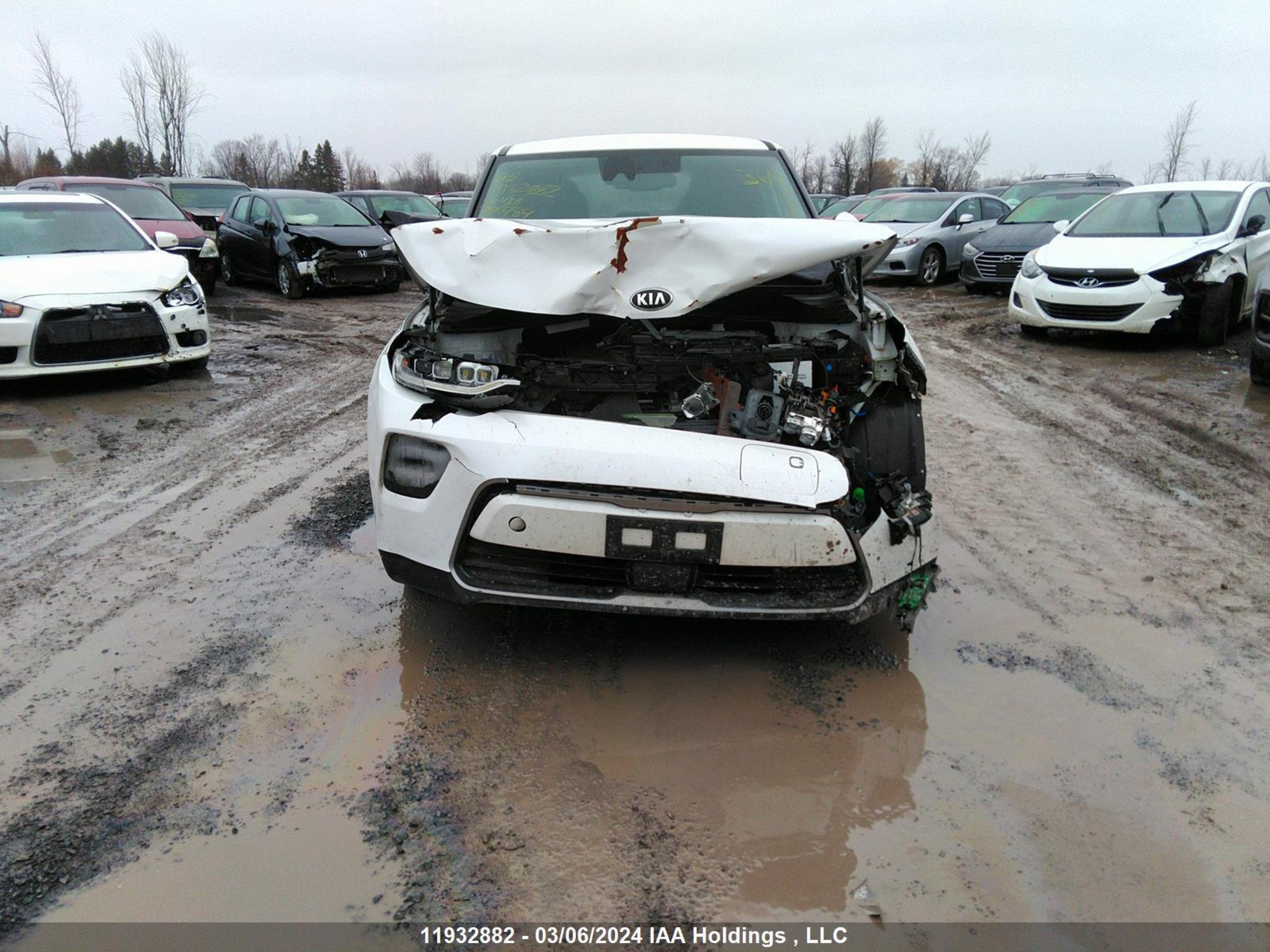 Photo 11 VIN: KNDJ33A10L7006784 - KIA SOUL EV 