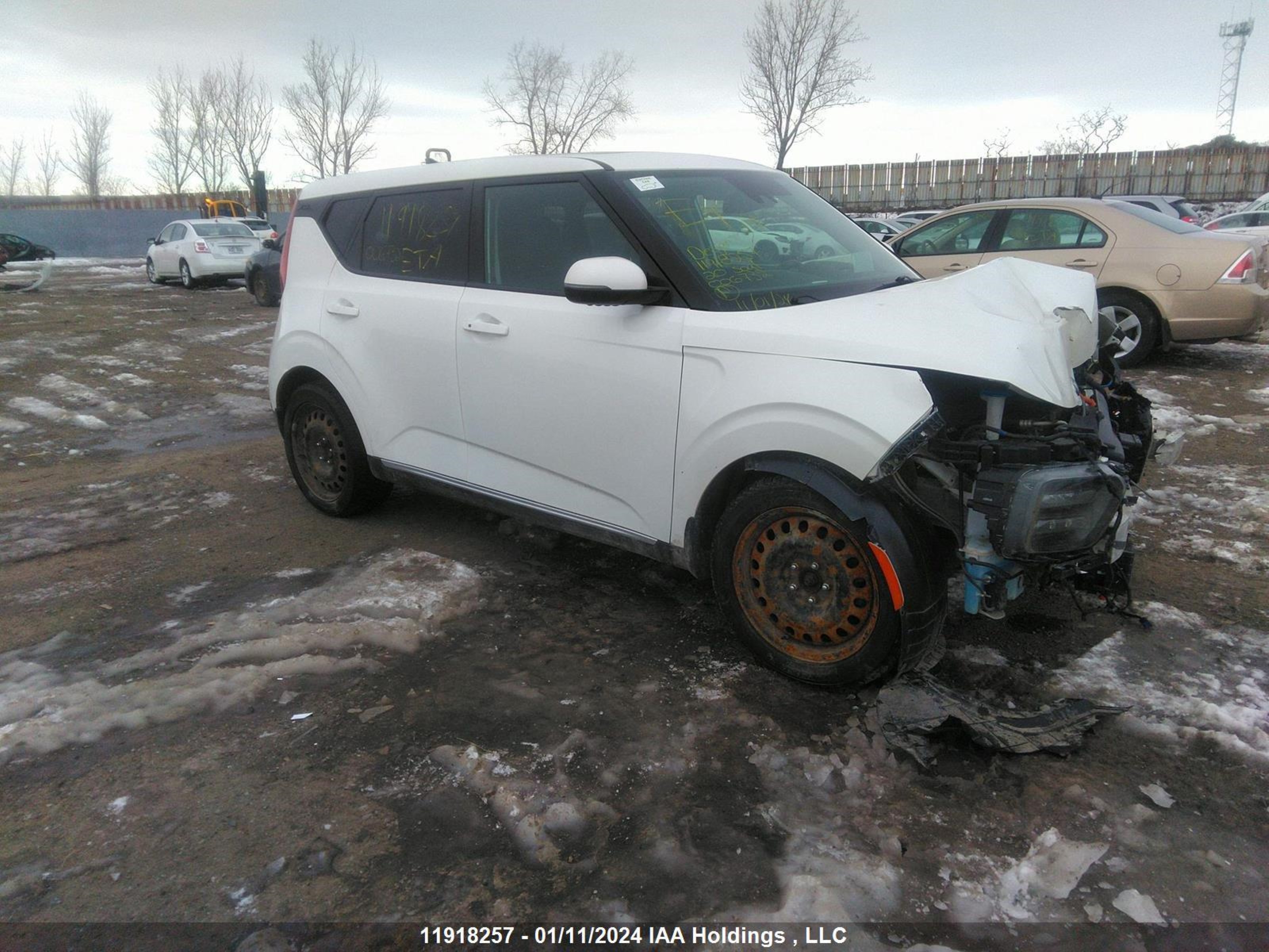 Photo 0 VIN: KNDJ33A13L7006732 - KIA SOUL EV 