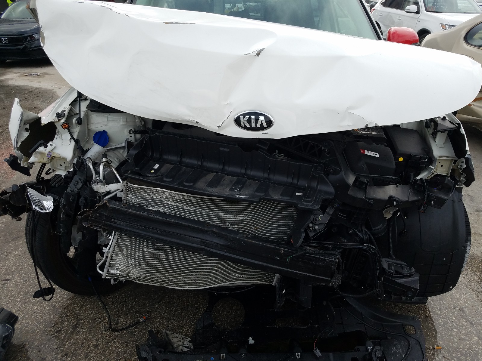 Photo 6 VIN: KNDJ63AUXL7003196 - KIA CADENZA TE 