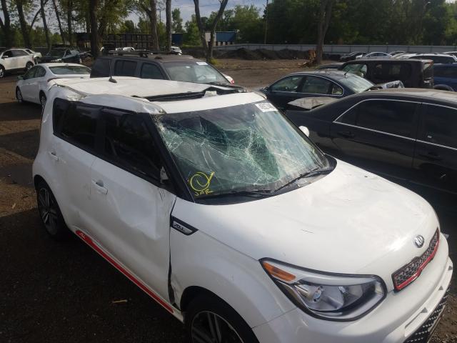 Photo 8 VIN: KNDJP3A54E7025929 - KIA SOUL + 