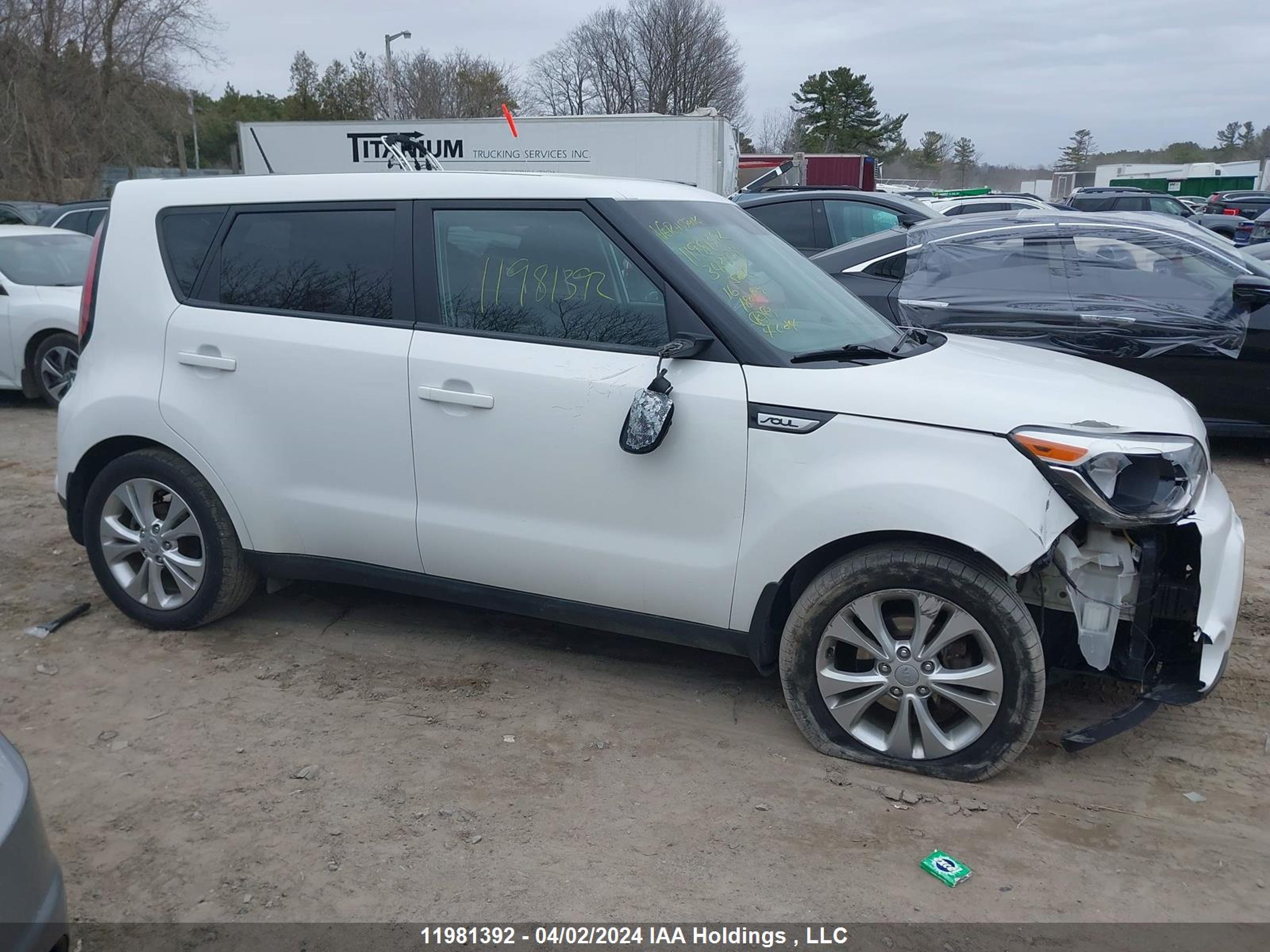 Photo 12 VIN: KNDJP3A58G7343734 - KIA SOUL 