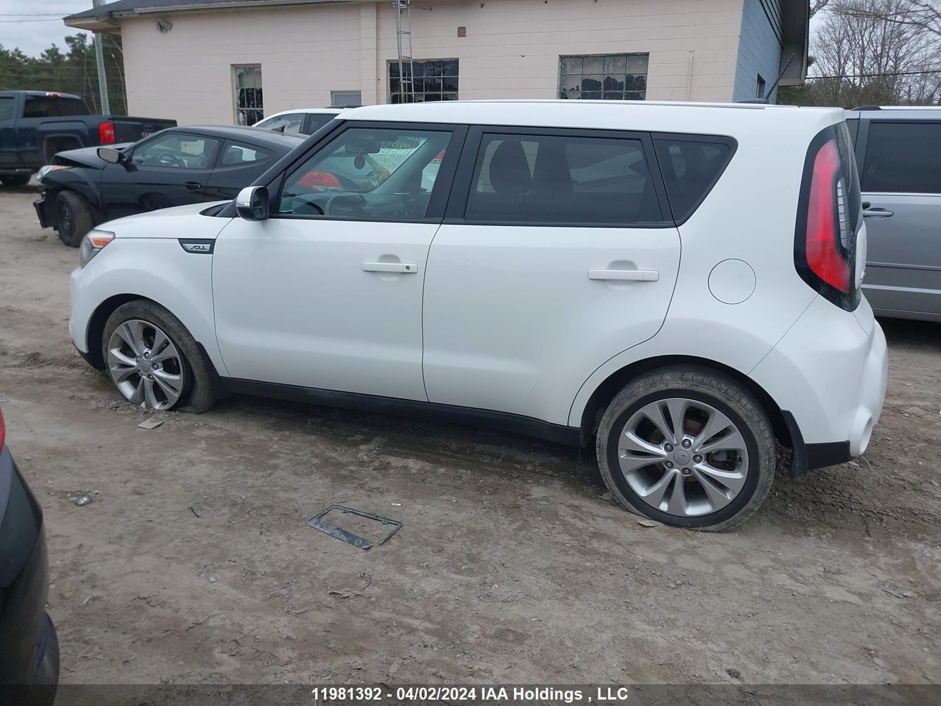 Photo 13 VIN: KNDJP3A58G7343734 - KIA SOUL 