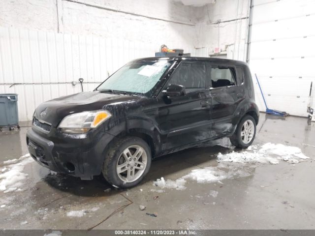 Photo 1 VIN: KNDJT2A21A7038224 - KIA SOUL 