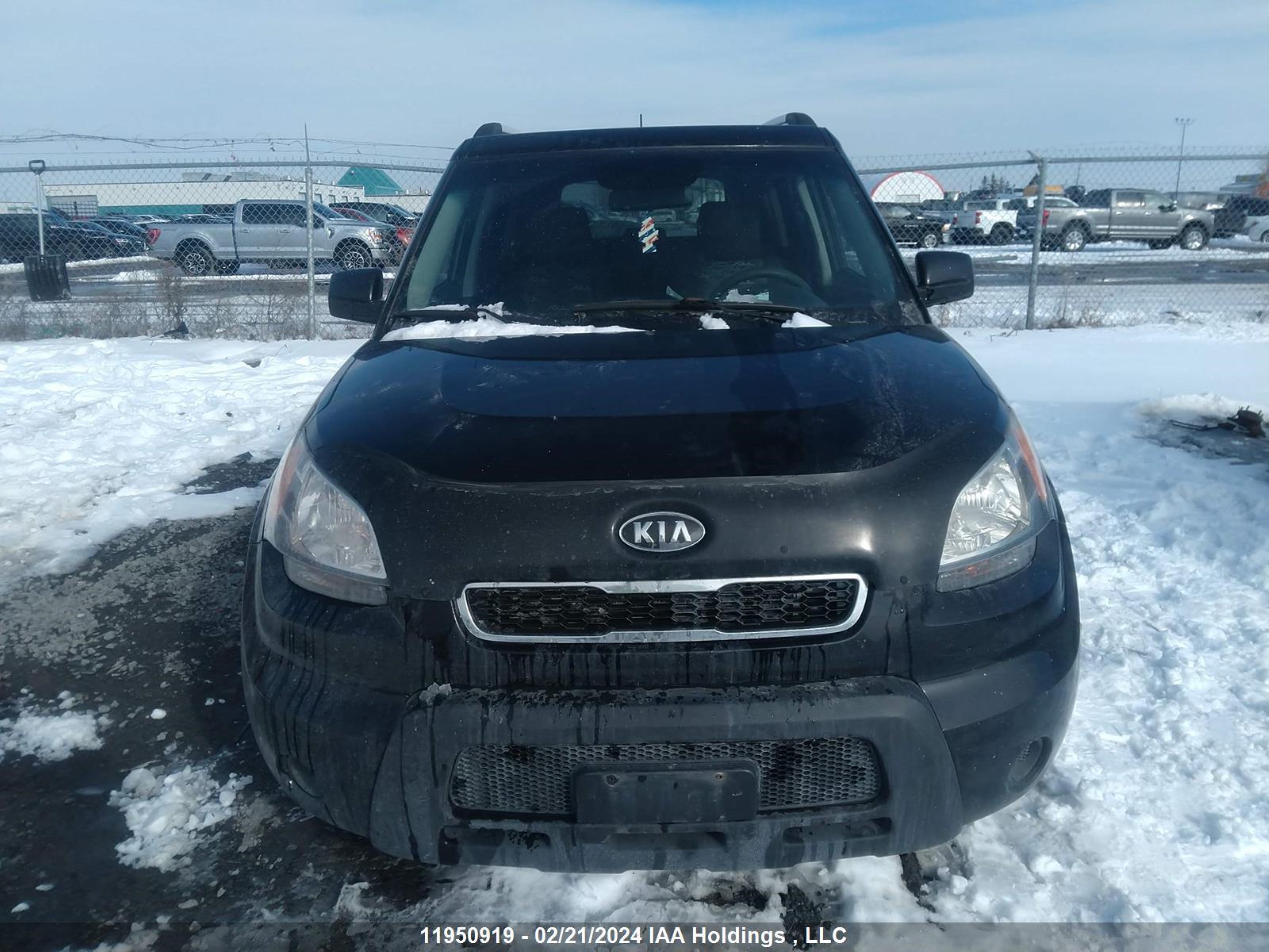 Photo 11 VIN: KNDJT2A23B7223487 - KIA SOUL 