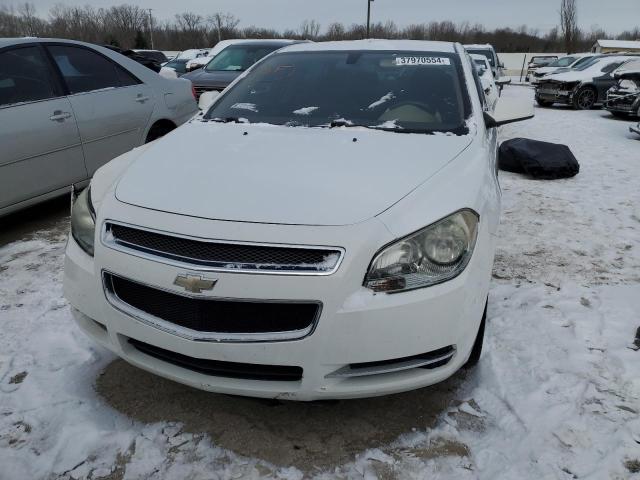 Photo 4 VIN: KNDJT2A26B7343459 - CHEVROLET MALIBU 