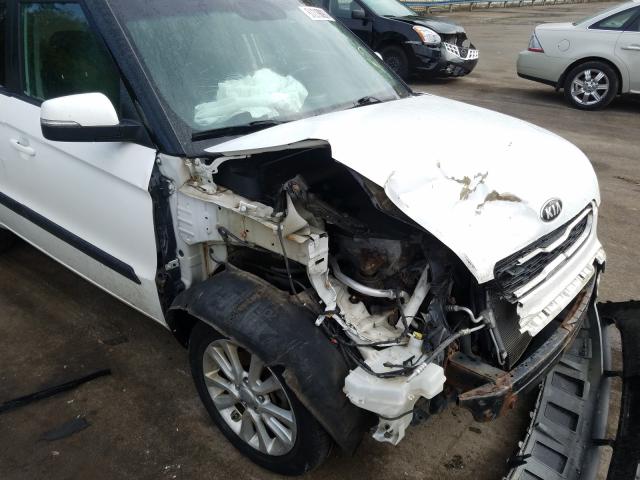 Photo 8 VIN: KNDJT2A60D7555313 - KIA SOUL + 