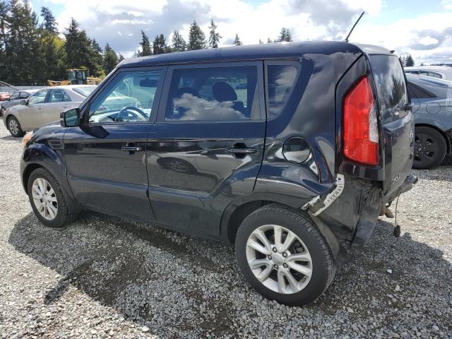 Photo 1 VIN: KNDJT2A6XD7529981 - KIA SOUL 