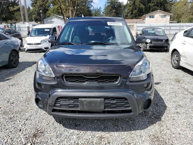 Photo 4 VIN: KNDJT2A6XD7529981 - KIA SOUL 