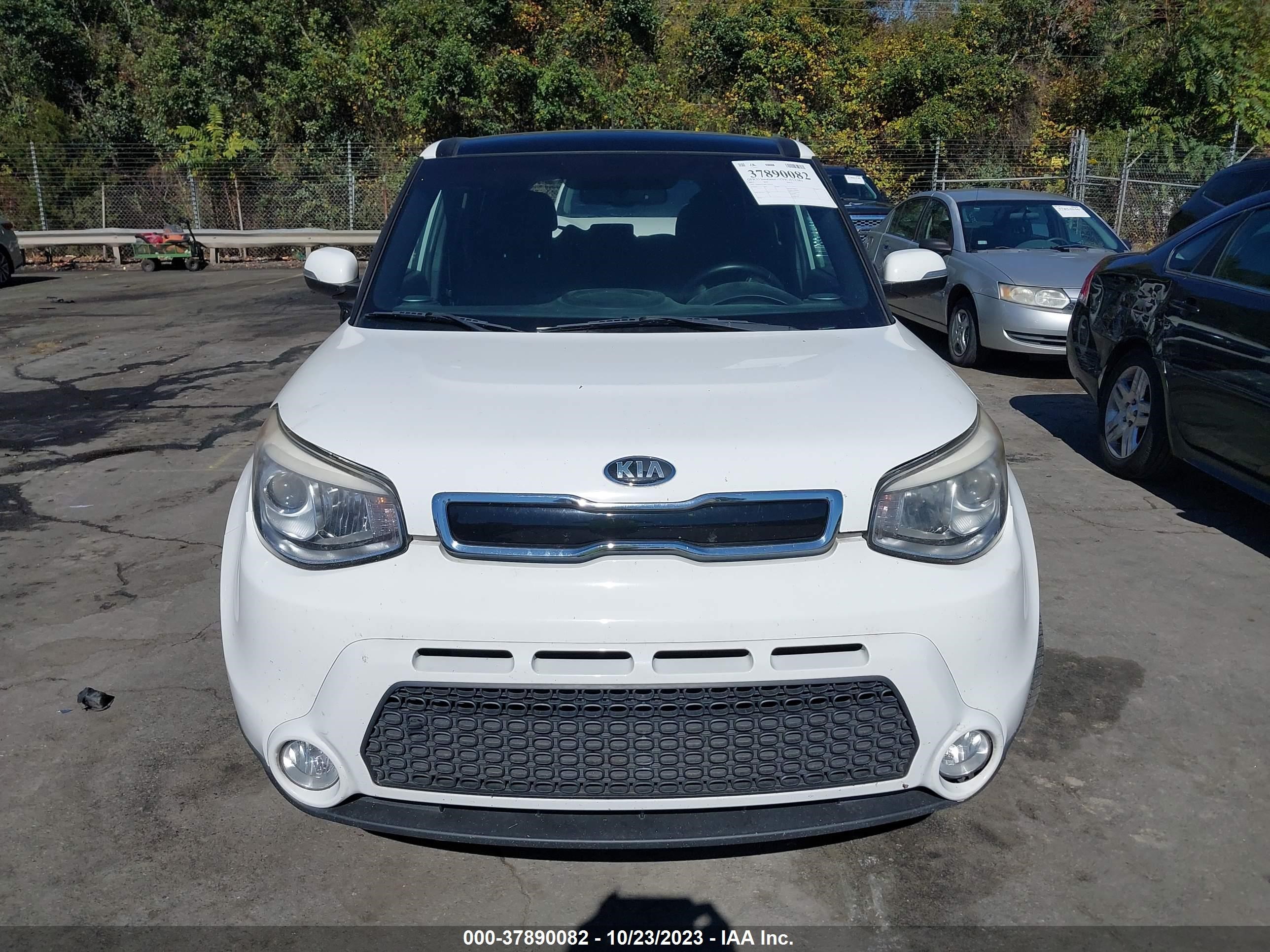 Photo 12 VIN: KNDJX3A56F7192424 - KIA SOUL 