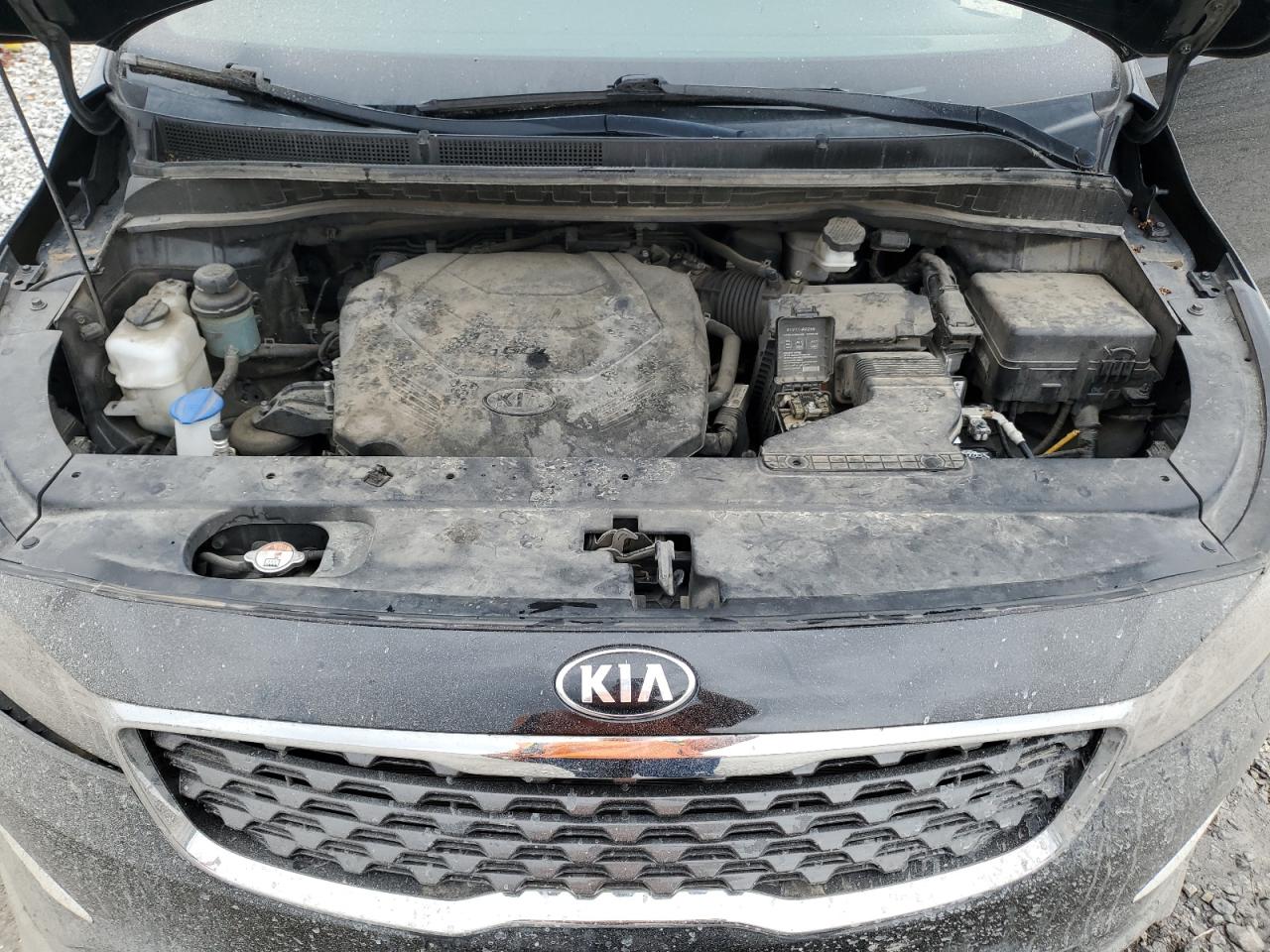 Photo 11 VIN: KNDMA5C12K6549683 - KIA SEDONA 