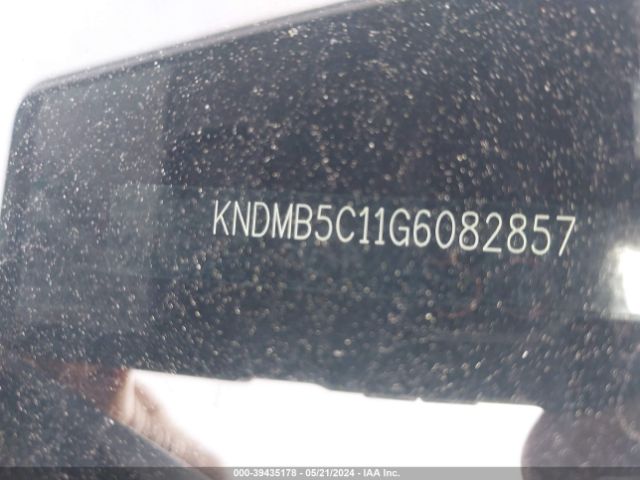 Photo 8 VIN: KNDMB5C11G6082857 - KIA SEDONA 