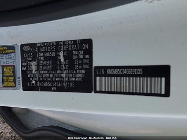 Photo 8 VIN: KNDMB5C14G6191135 - KIA SEDONA 