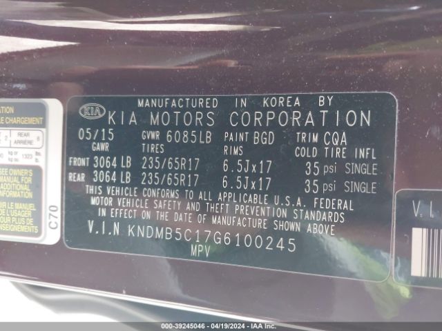 Photo 8 VIN: KNDMB5C17G6100245 - KIA SEDONA 