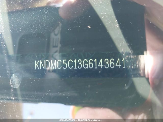 Photo 8 VIN: KNDMC5C13G6143641 - KIA SEDONA 