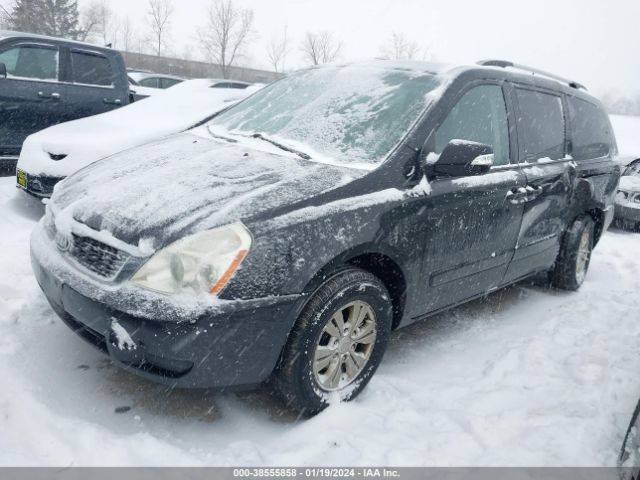 Photo 1 VIN: KNDMG4C71B6378549 - KIA SEDONA 