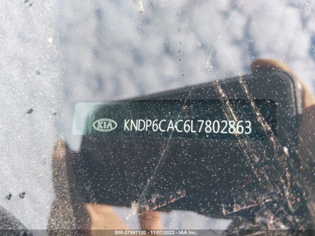 Photo 8 VIN: KNDP6CAC6L7802863 - KIA SPORTAGE 