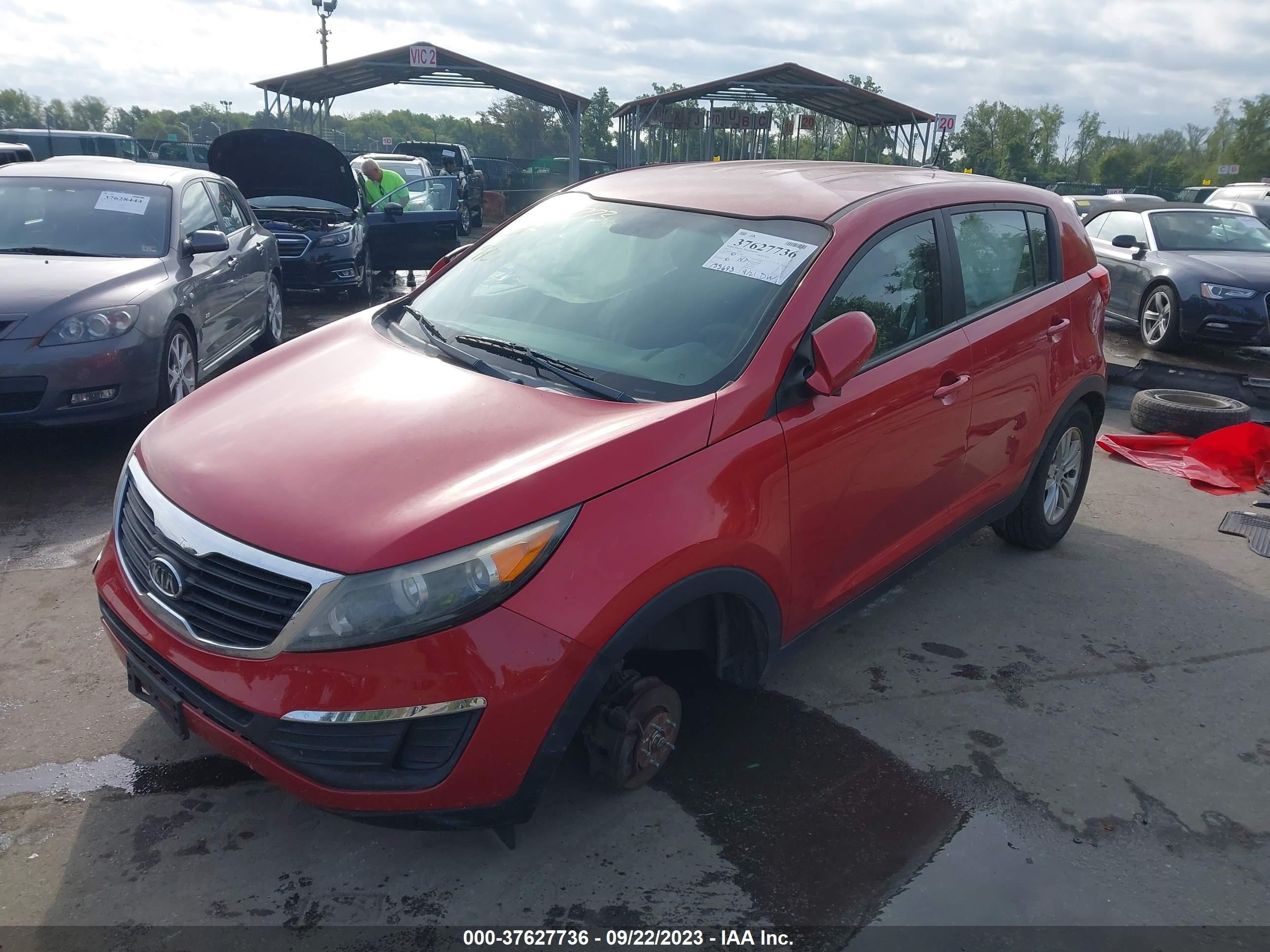 Photo 1 VIN: KNDPB3A20B7014548 - KIA SPORTAGE 