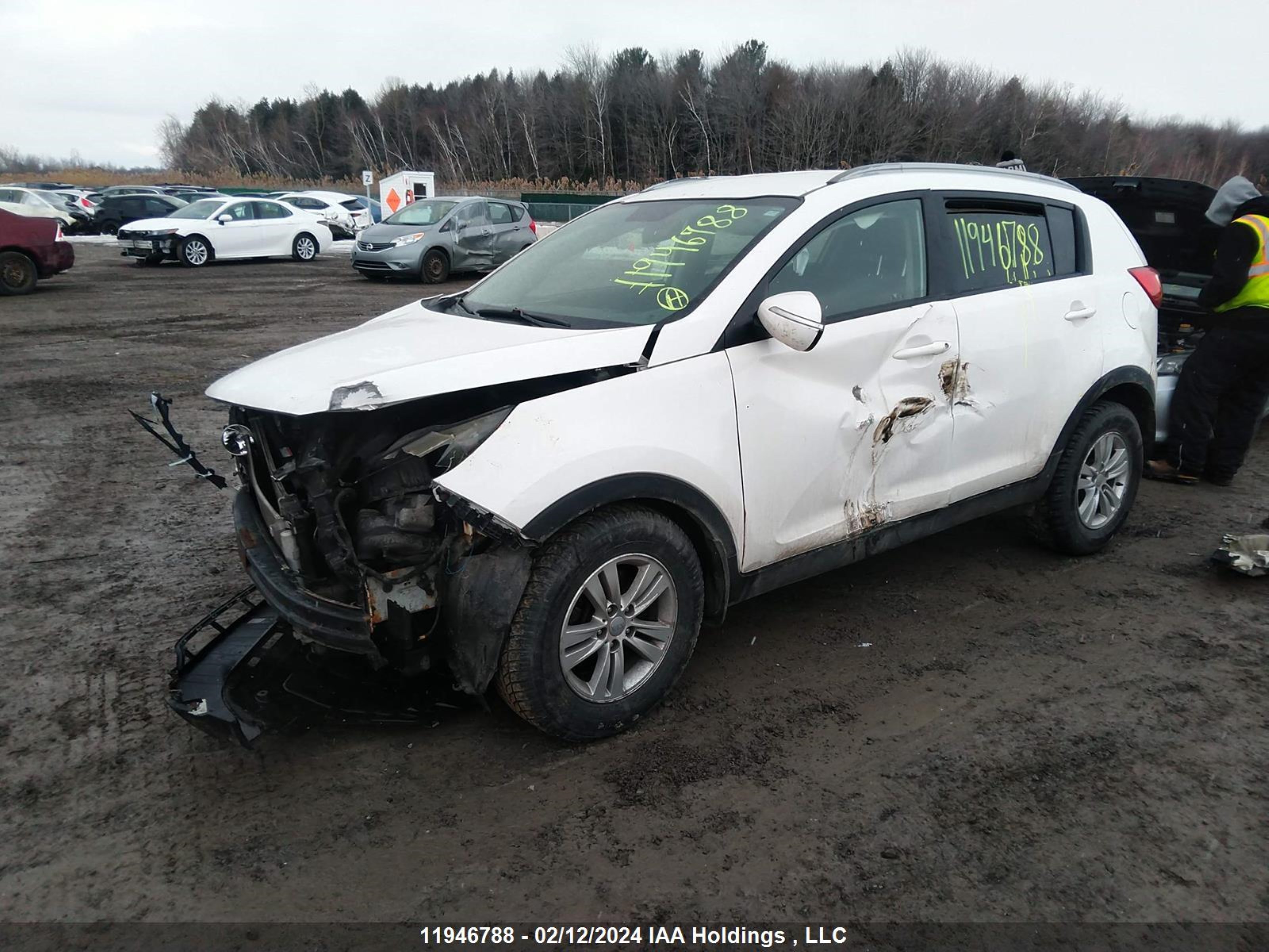 Photo 1 VIN: KNDPB3A22C7308261 - KIA SPORTAGE 