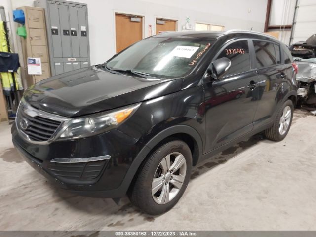 Photo 1 VIN: KNDPB3A24C7216570 - KIA SPORTAGE 