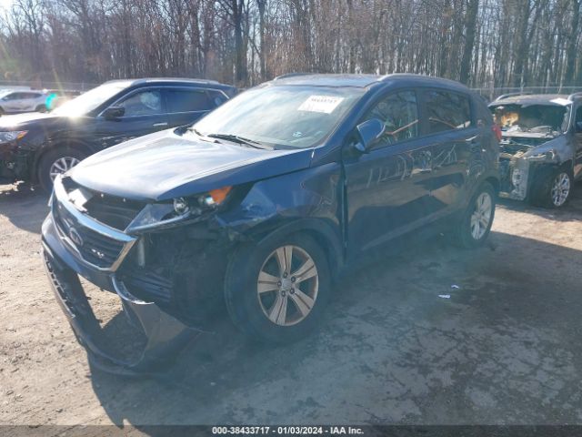 Photo 1 VIN: KNDPB3A24D7362565 - KIA SPORTAGE 