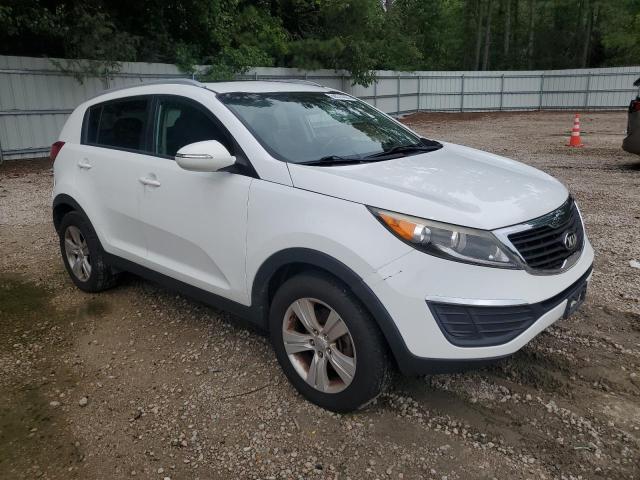 Photo 3 VIN: KNDPB3A24D7373341 - KIA SPORTAGE 