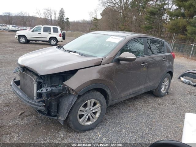 Photo 1 VIN: KNDPB3A25B7075023 - KIA SPORTAGE 