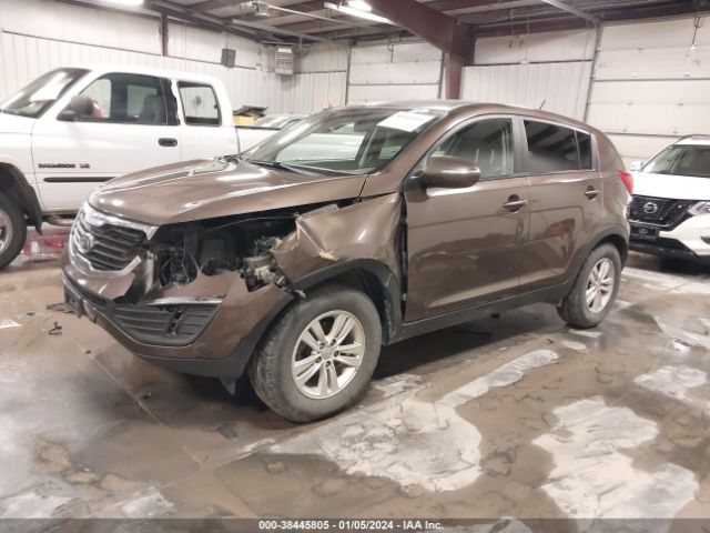 Photo 1 VIN: KNDPB3A27B7054450 - KIA SPORTAGE 