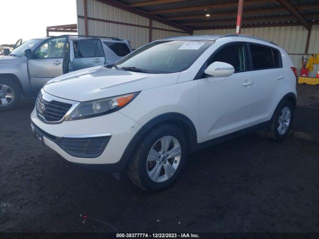 Photo 1 VIN: KNDPB3A27B7085391 - KIA SPORTAGE 