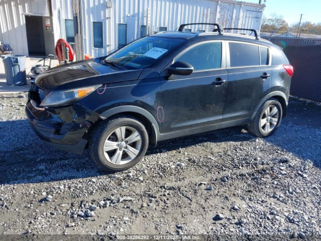 Photo 1 VIN: KNDPB3A27D7504908 - KIA SPORTAGE 