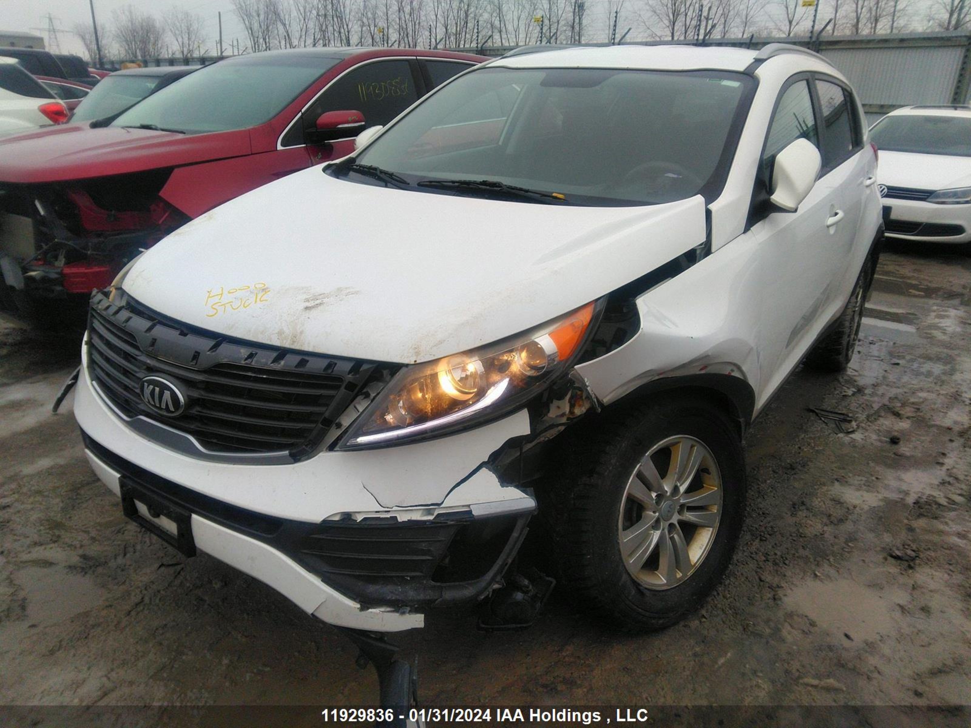 Photo 1 VIN: KNDPB3A28D7460210 - KIA SPORTAGE 