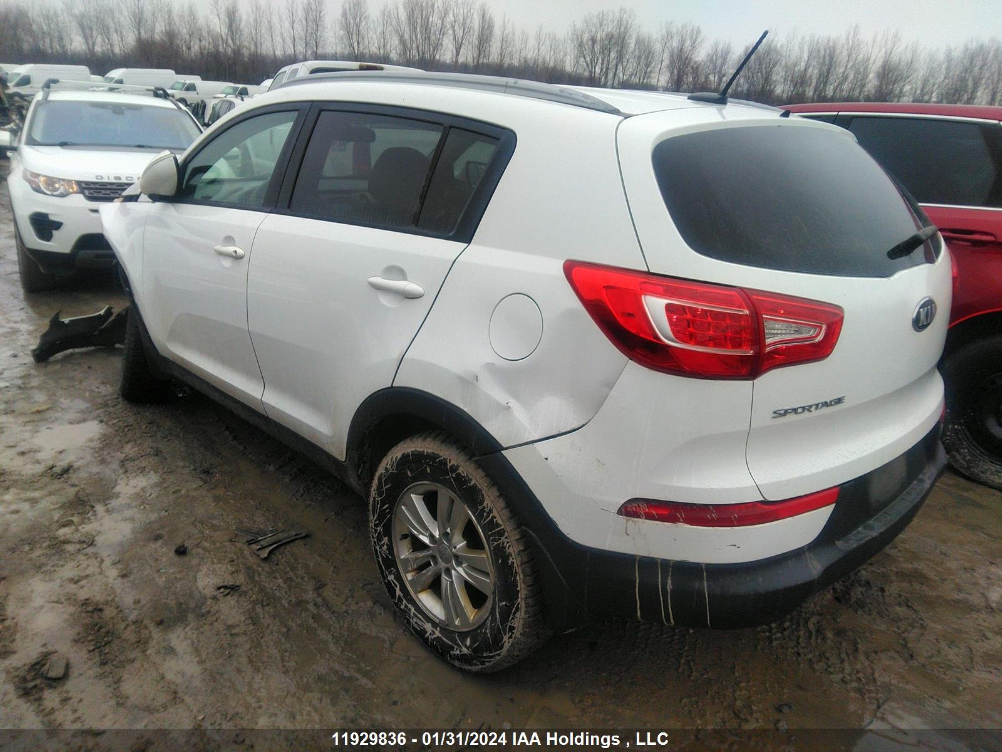 Photo 2 VIN: KNDPB3A28D7460210 - KIA SPORTAGE 