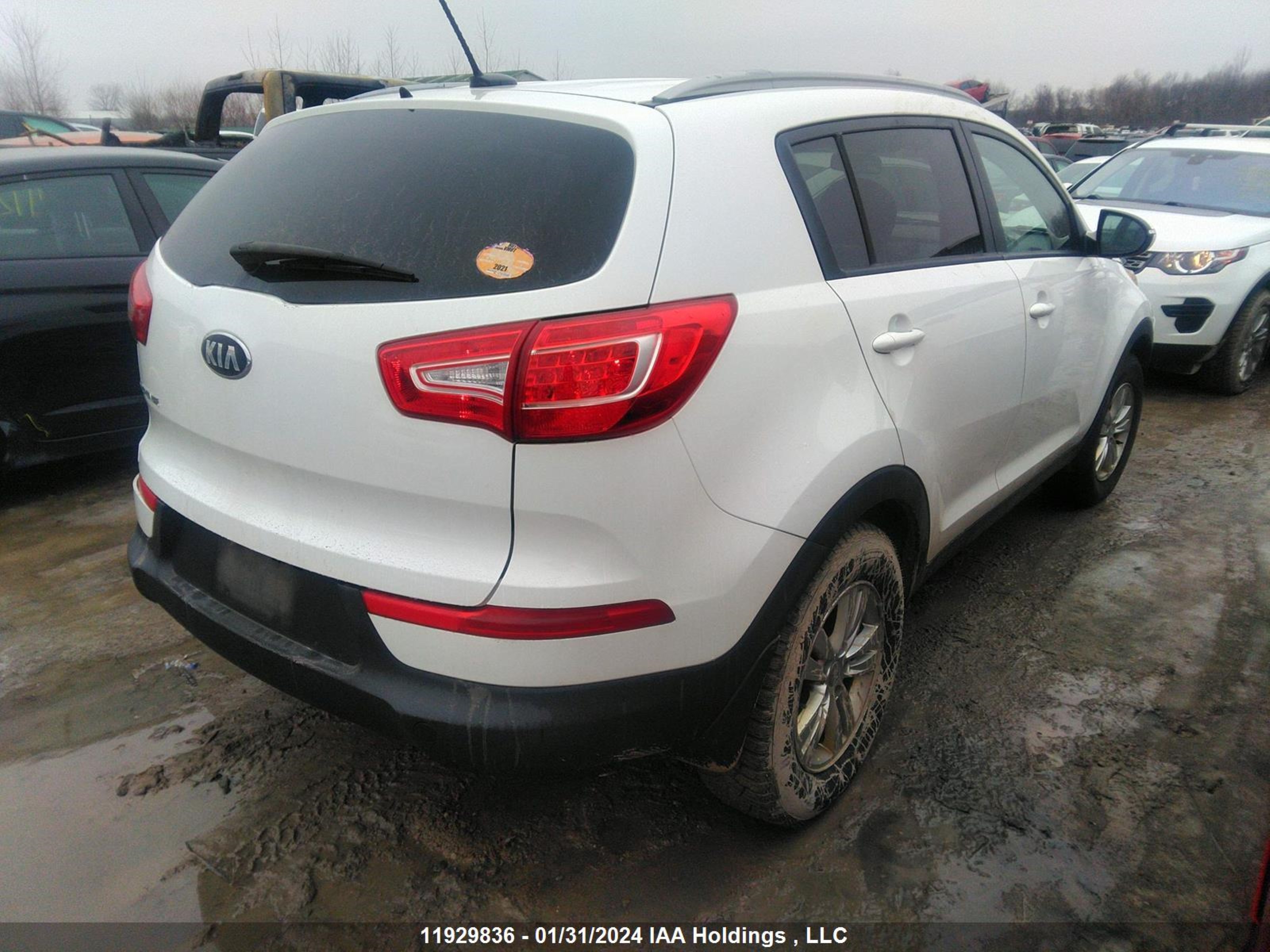 Photo 3 VIN: KNDPB3A28D7460210 - KIA SPORTAGE 