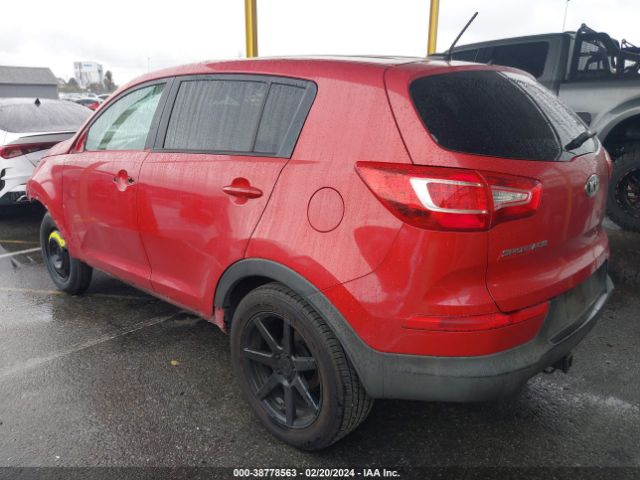 Photo 2 VIN: KNDPB3A29D7423585 - KIA SPORTAGE 